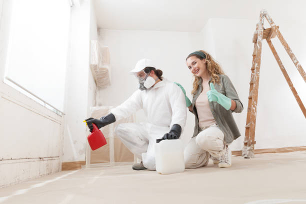 Best Mold Prevention Services  in Huron, SD